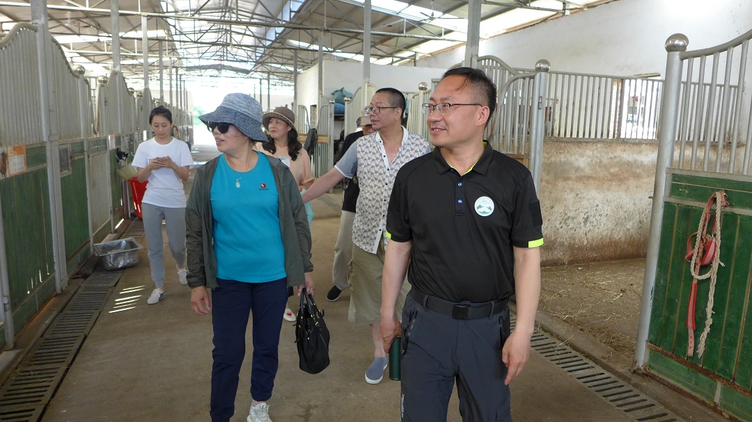 1592205573100216.jpg 5.jpg