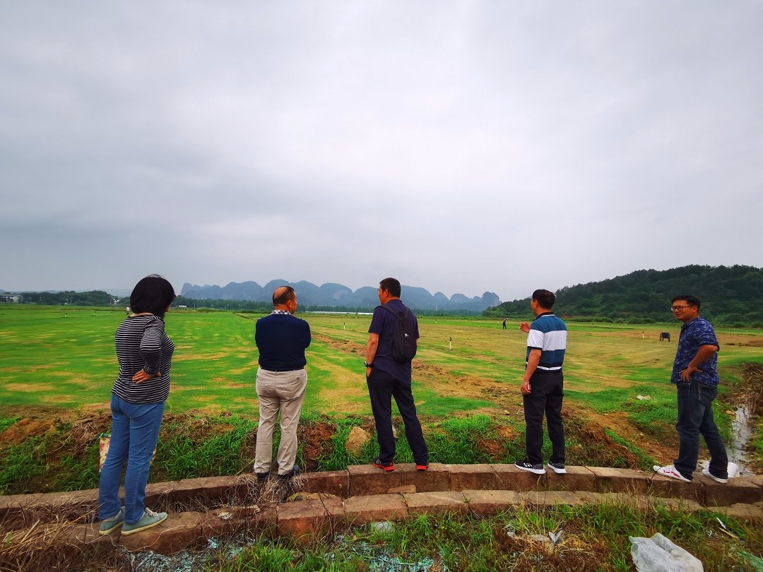 1592445841293261.jpg 85e3167a79b283a381d41e4b33f931a.jpg